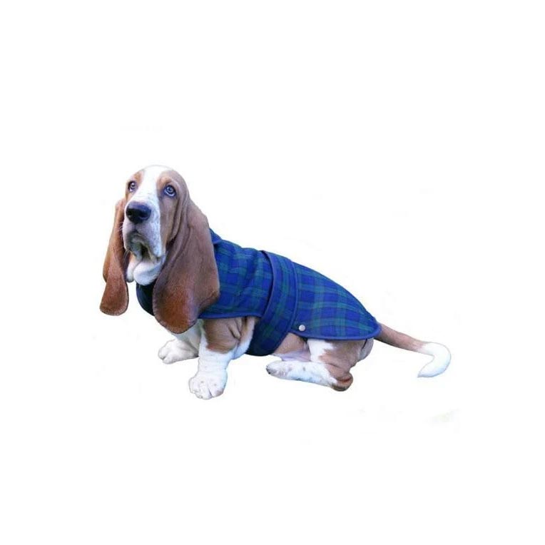 Traditional Deluxe Dog Coat In Black Watch